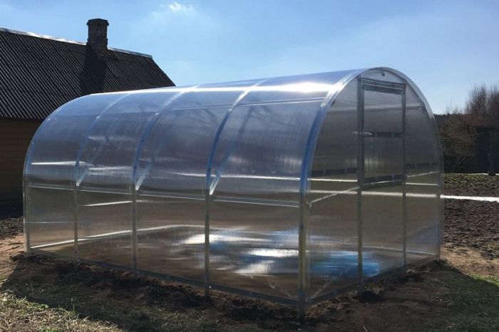 Greenhouse Baltic